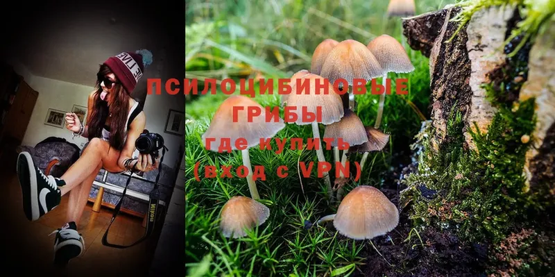 Псилоцибиновые грибы Magic Shrooms  Апрелевка 